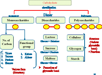 Classification Of Carbohydrates Chart